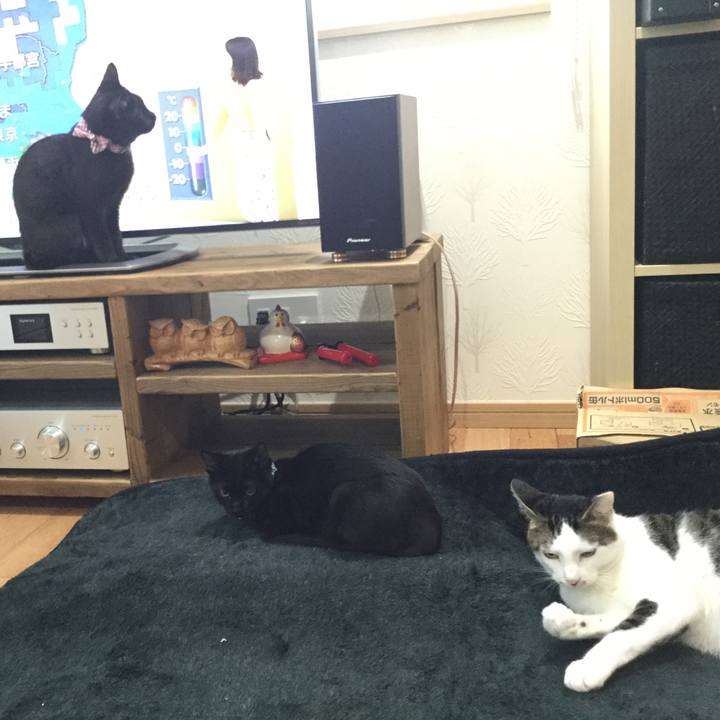 A6285e59 9112 4d62 a94d 2b5b1a386037 1509924743079