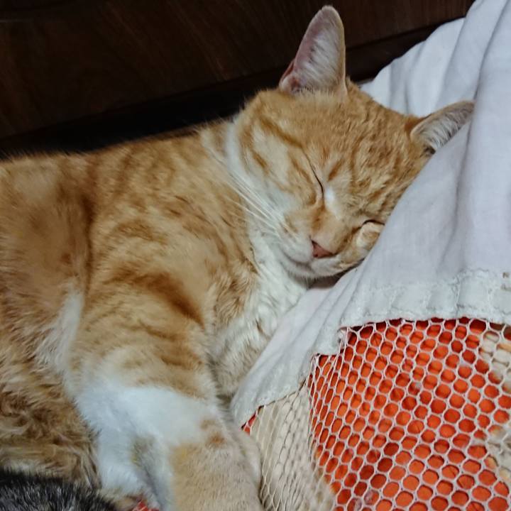 A62878db 7816 4e2d 9e67 060bc96165b9 1585485920185