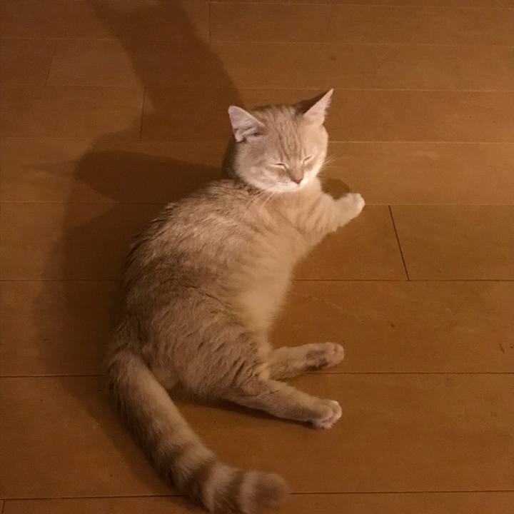 A62892e4 6ee4 4053 ae2f 822a999c3030 1527375012999