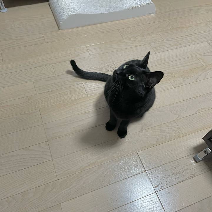 A628979a 095a 423a b3e7 617bc2c7222a 1673877682601