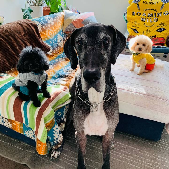 A6289e08 089e 4f79 90cc 56e28d878d3c 1604961432724