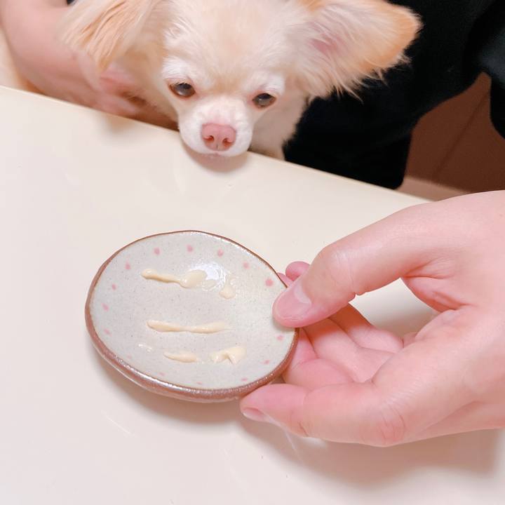 A628b1e6 4b17 4555 b3fd fe9628e7c5e1 1661078957450