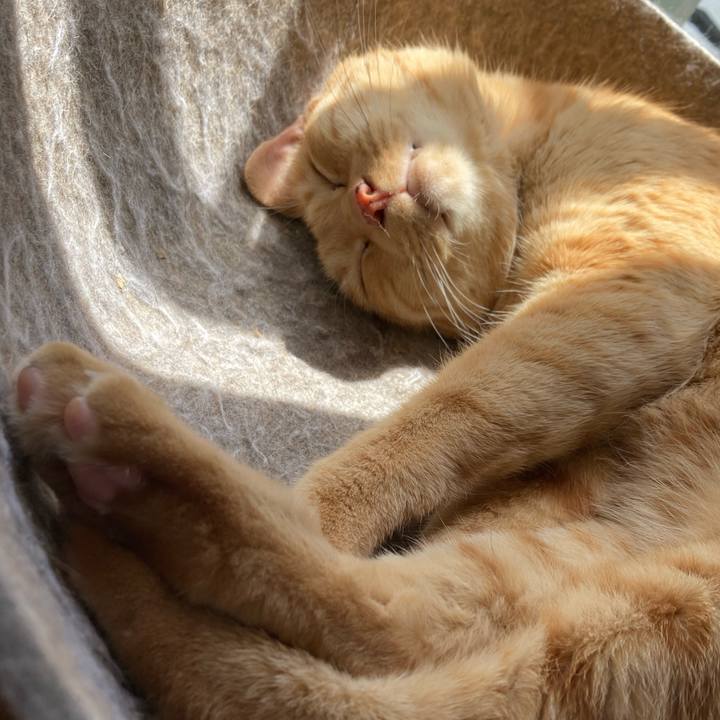 A629136e 3dc9 4470 abc7 5868973db1ce 1746626614415