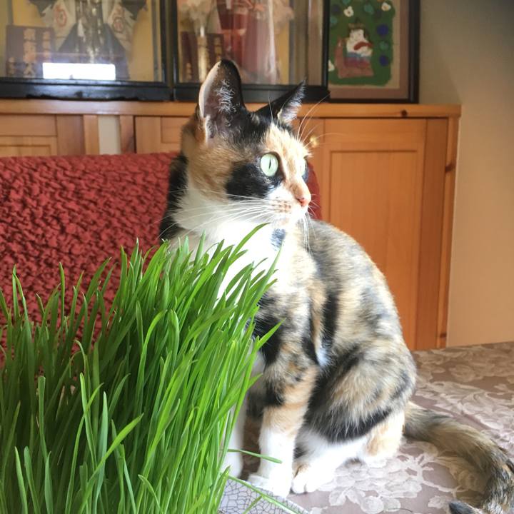 A62943d4 ac5d 4802 93af c17ab0760e10 1509681212458