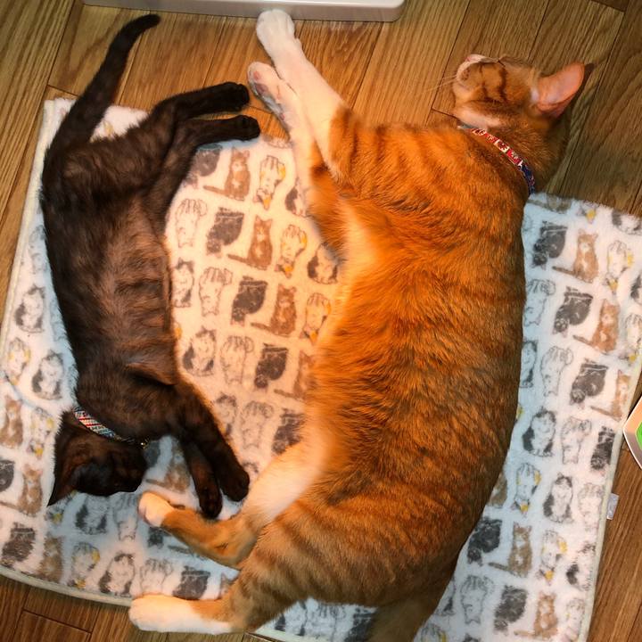 A6295309 869e 4281 a57f 3ee8942ec7dd 1607532851103