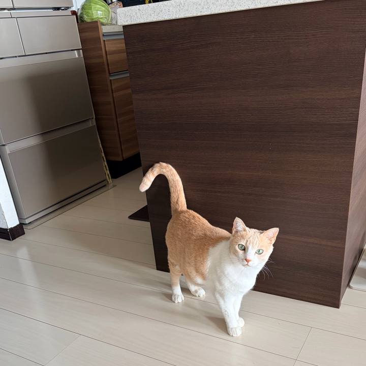 A6296c2f 5255 438d 8990 e7f0de0ed1de 1775979586294