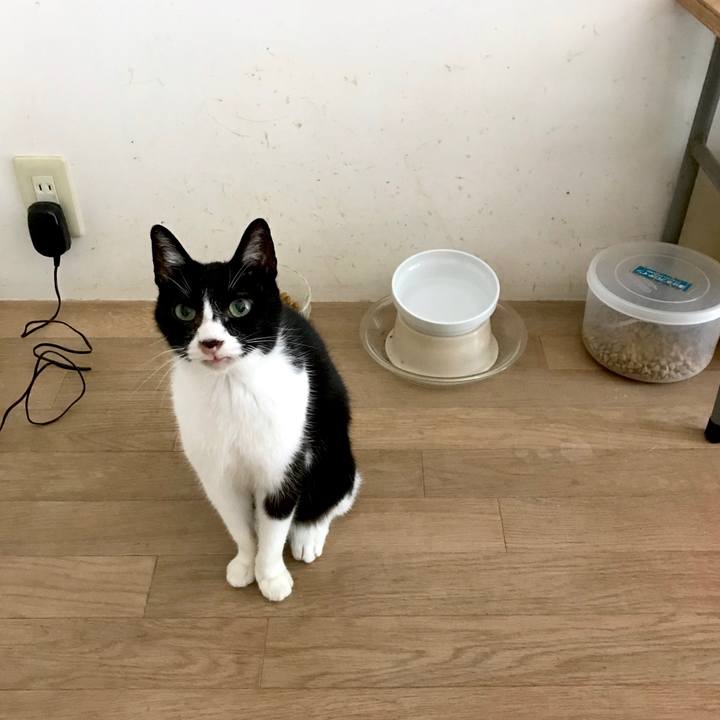 A6297319 fe19 4f4d 879f b4962fd421a5 1532143604501