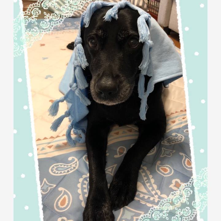 A62973a7 c049 4e6a 9d9a 3e7587c89d6d 1563075125119