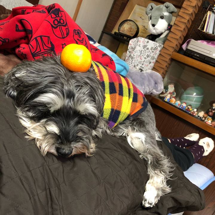 A6297ca4 a55e 4c00 a0d2 a6c9fd5e42f2 1606536524704