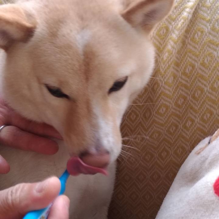 A6298749 0d28 4d33 a3bc dac983f9a62a 1550792139177