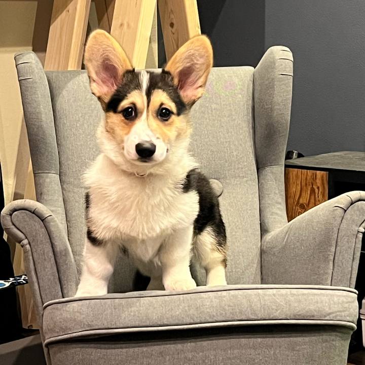 A6299878 79e3 406a 9882 7f660fc92752 1773490918974