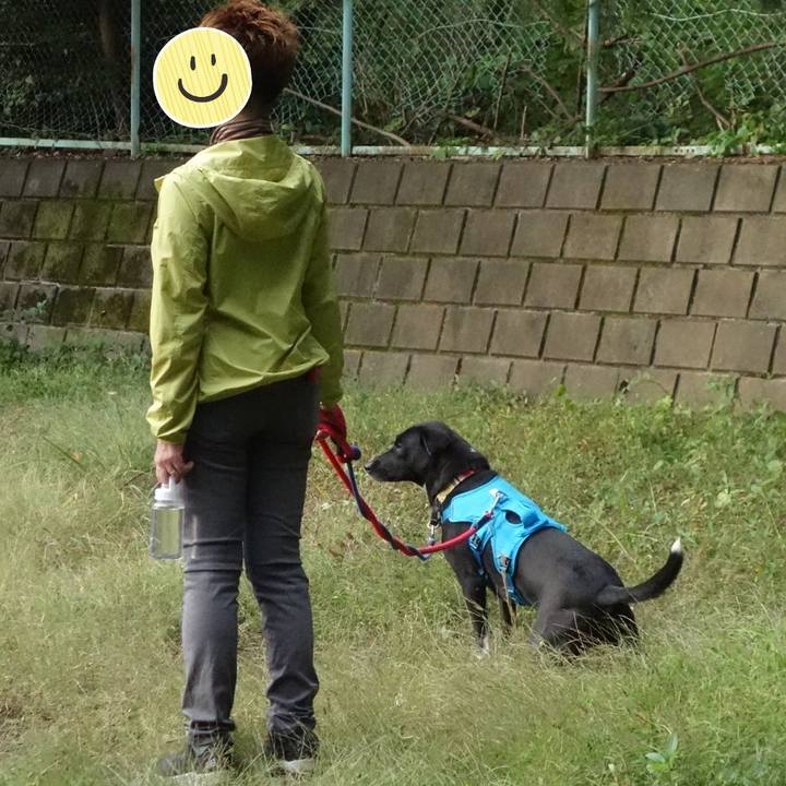 A629991a ecbc 41f7 8cb8 cd01e3867f11 1603759085732