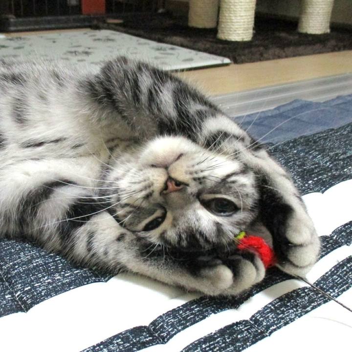 A629b600 5bda 49b6 ae76 79f1feef2eec 1543656335243