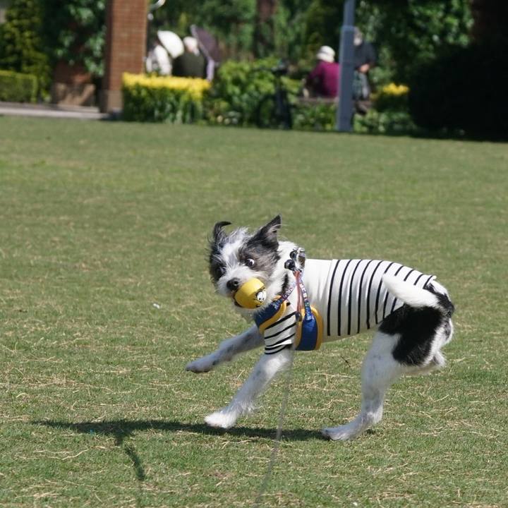 A629f3c9 c5a7 48e1 b74d 663c37759956 1650878431669