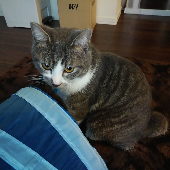 A62a273e 4c07 4c4d 9b3f 6c5418cf492c 1575873881220