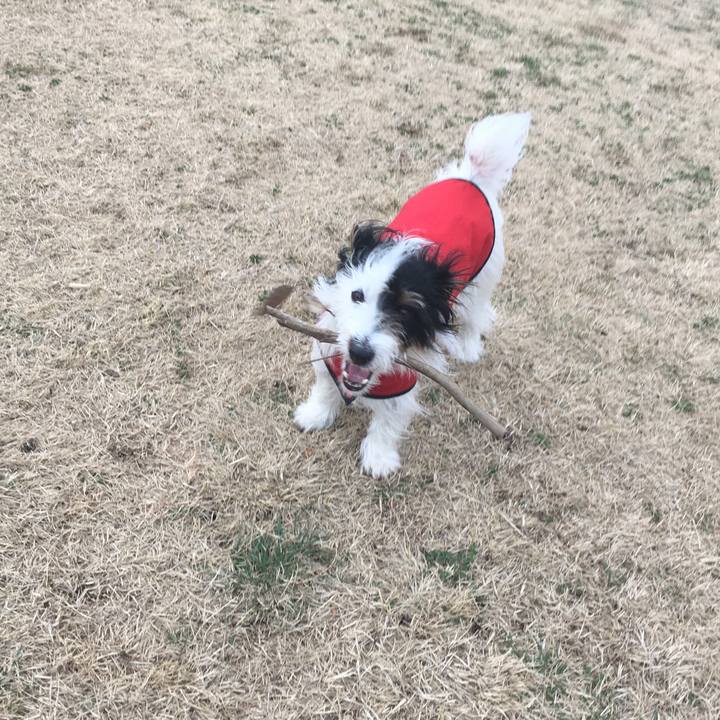 A62a51c8 525d 4e05 8808 bca7a8de208c 1521498202978