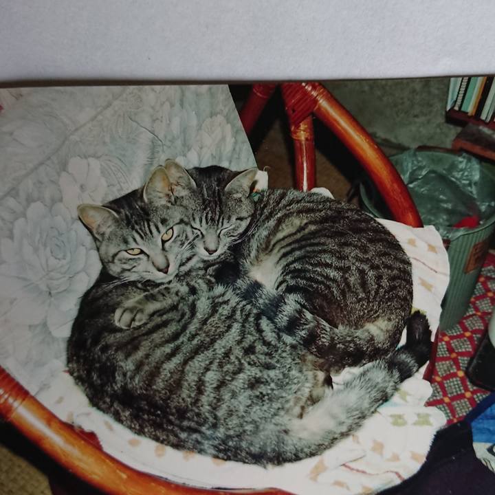 A62a8609 a4d1 460d a9b5 e1b66e51a702 1601322999843