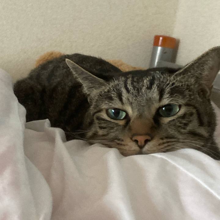 A62ad502 9122 49d2 a9b2 9339a73fdd62 1602294889025