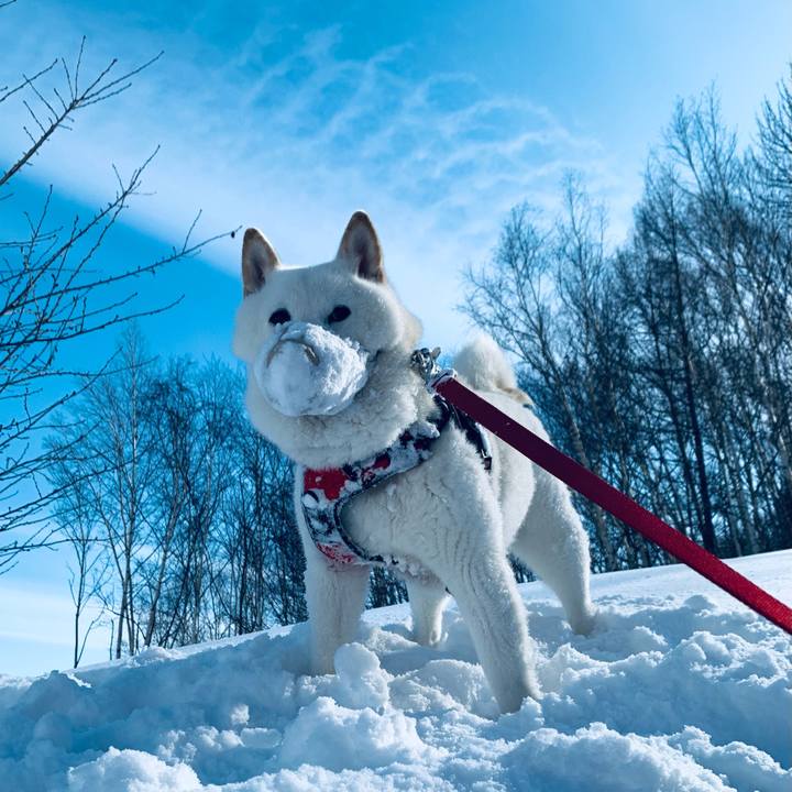 A62af289 039f 444a 89f9 30e76cd2b168 1613096572413