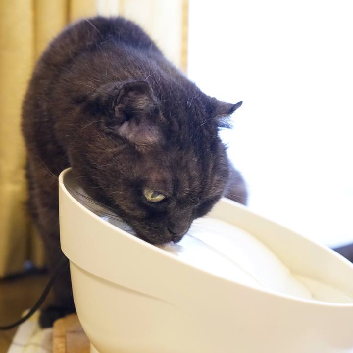 A62afebb b5d1 47e5 a4f2 d2a6d4d63483 1613222323938