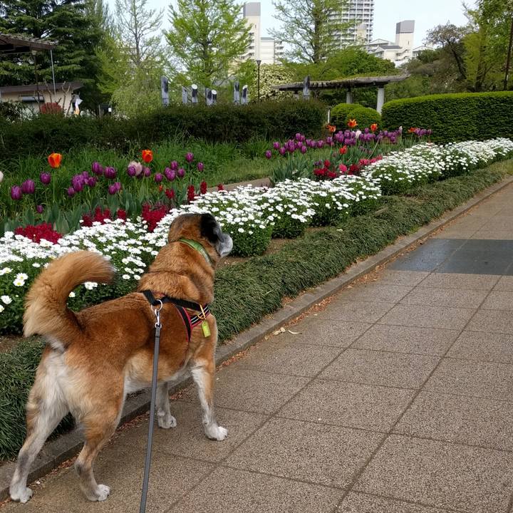 A62b25f4 5062 48e8 8882 8ae7a0d7e16c 1555978201987