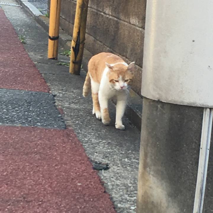 A62b41ac c5e8 4808 aa38 3a3e532933bd 1553415168419