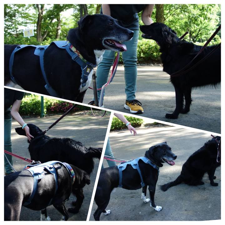 A62b4b7e f65a 441c 8d0e a554902894de 1715991062491