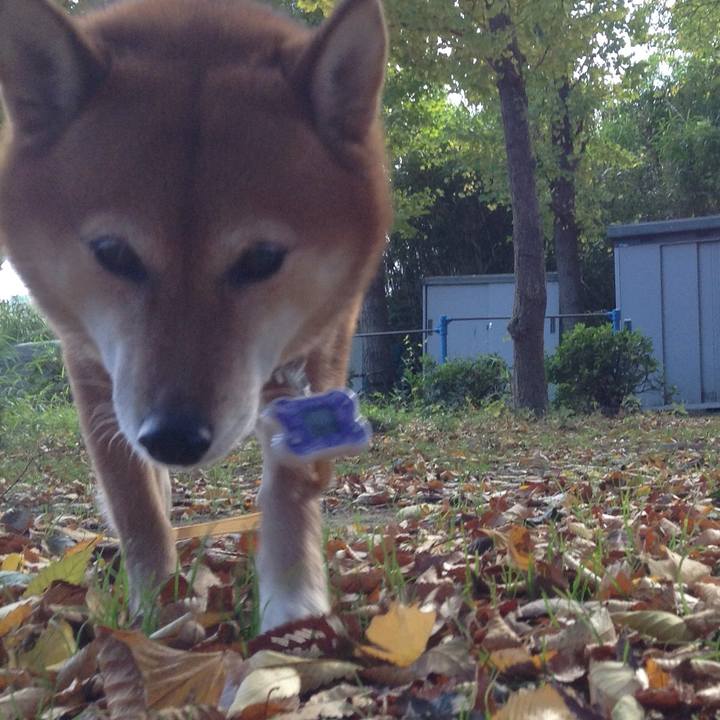 A62b5ae6 03ac 4435 be5e 912f3556b0ed 1511066539775