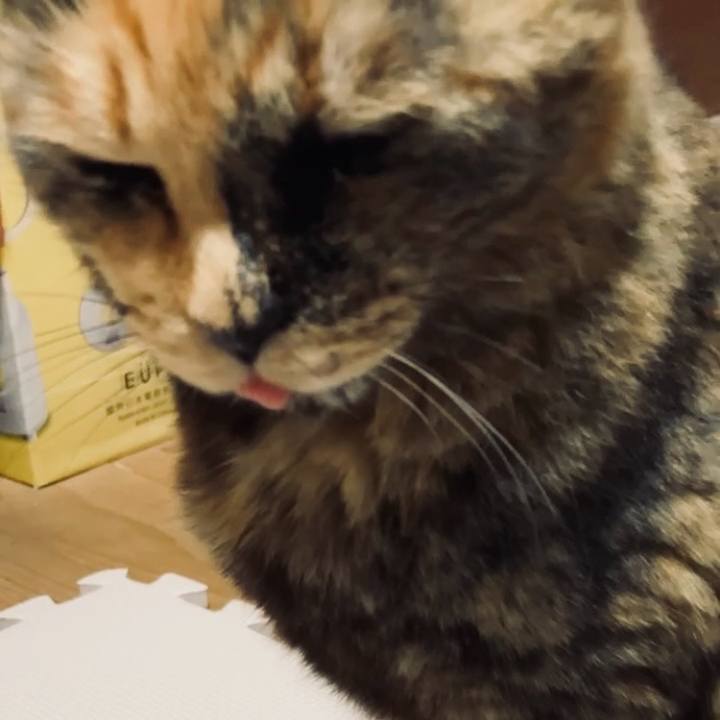 A62b7dcf c3a8 490d 9f0e 73d6266cfd4b 1743077381466