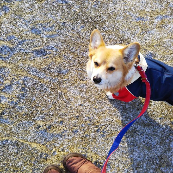 A62b94e8 b37f 417c bd6a 9741a5568beb 1580998906972