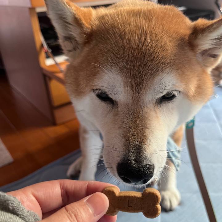 A62bab2a ab9f 416a 8932 02437492faad 1721863806122