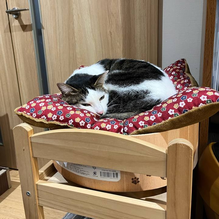 A62bec02 3a47 4c84 85d9 ab455b4dffd5 1640096071949