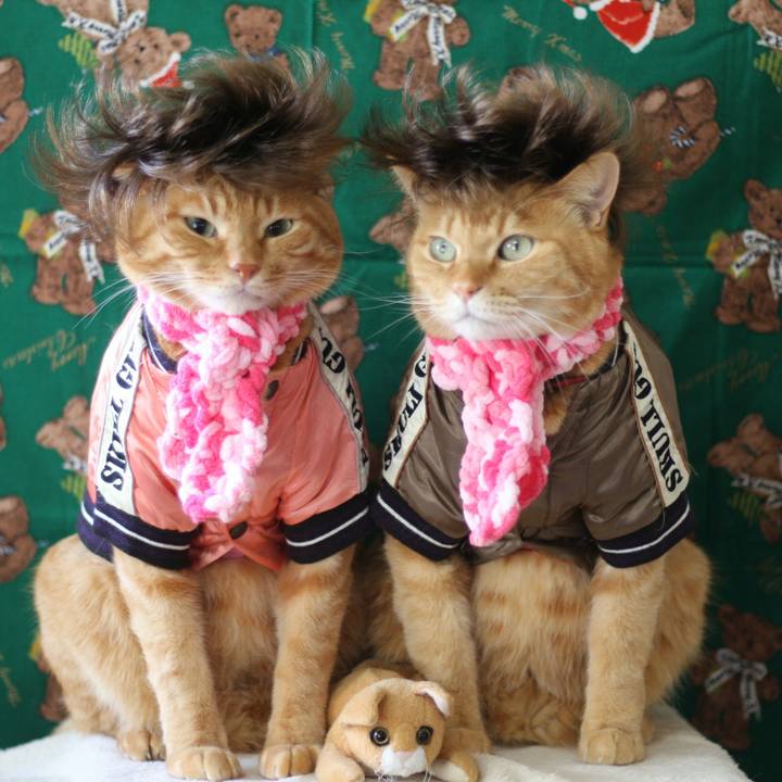 A62c66d8 124b 45cc 9861 b997702676d6 1513853614852