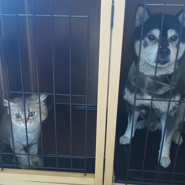 A62c74e2 78f3 4af8 a42b baccfcf9e803 1564626117033