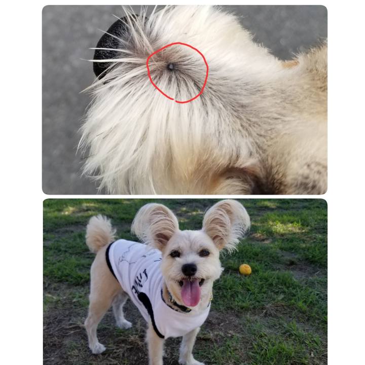 A62cbe03 135e 43e5 bb28 55f4145f2515 1538110649543