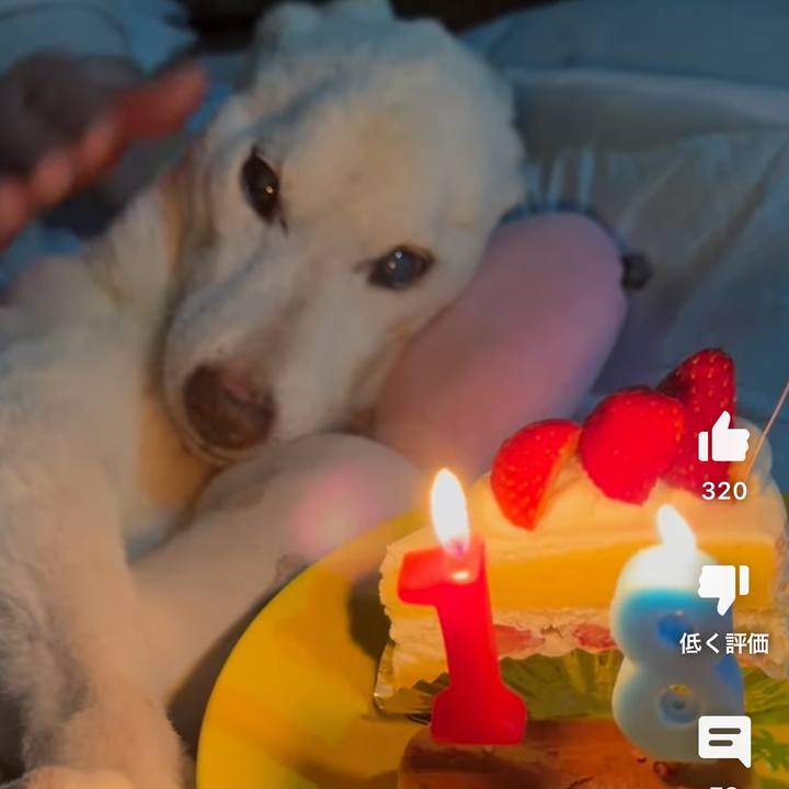 A62ce2e6 5be5 459b 9e7b 32ad5f9b44df 1713965614780