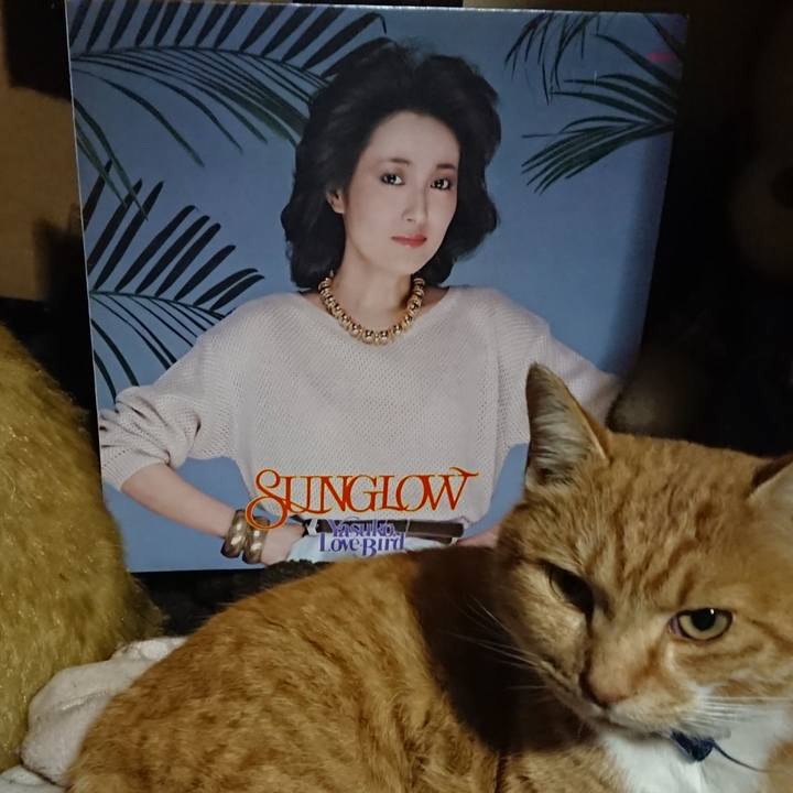 A62d0d06 17f1 4896 b74f 20bf55110e93 1606819844422