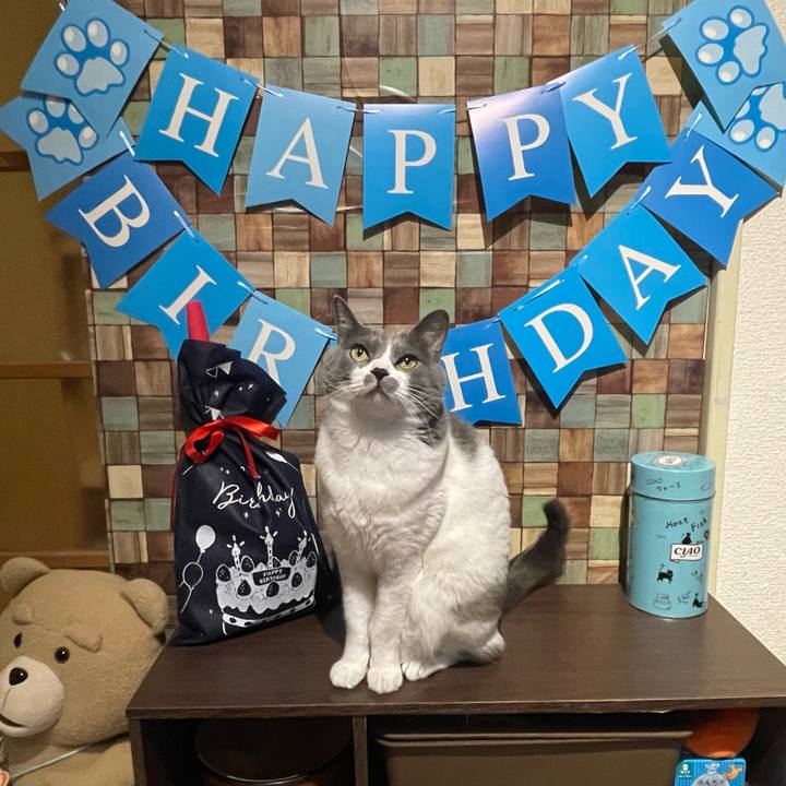 A62d2506 1591 4565 90fa a456e3b146a7 1671618694134