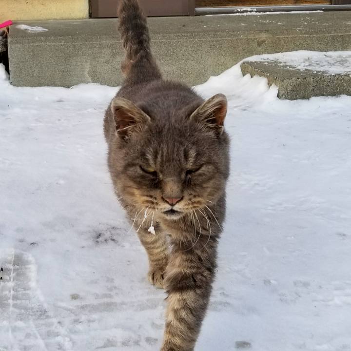 A62d58ed c99e 4e67 896b 65dd13133666 1517356583836