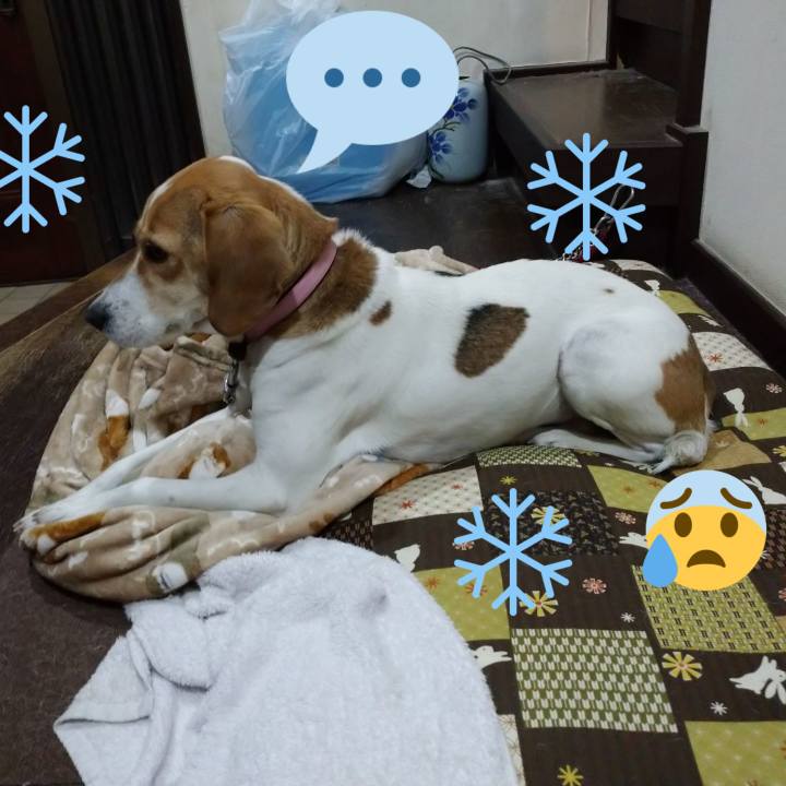 A62d62b1 2dca 421f b6c4 4e1768cdabc5 1584341778231