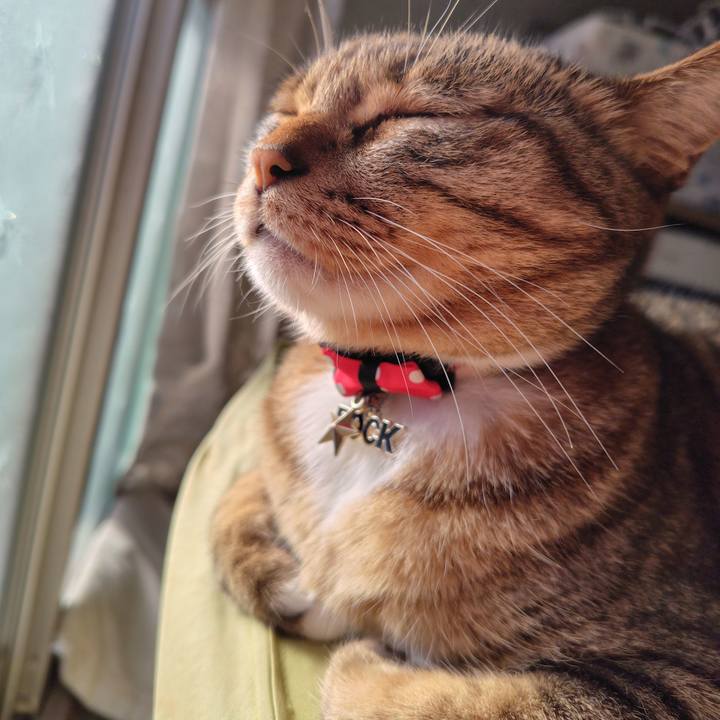 A62d6913 745a 491c 89e3 c2ba438eb833 1763168735844