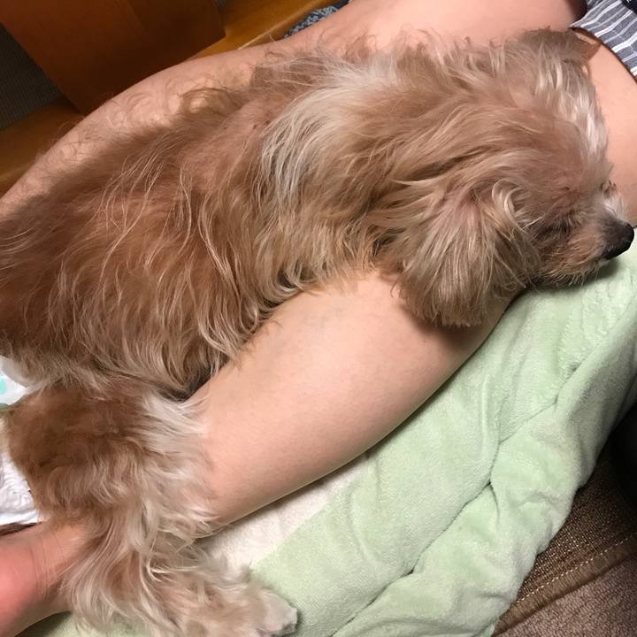 A62d809f b90e 4258 9aa8 200c85ff6090 1536924943706