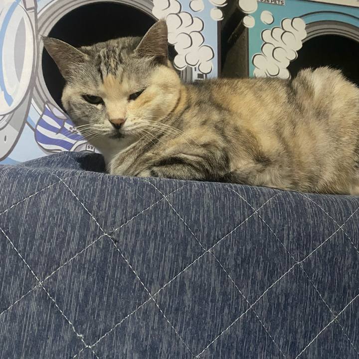 A62d811f 16bf 4ab4 b454 1908492cb247 1717602453192