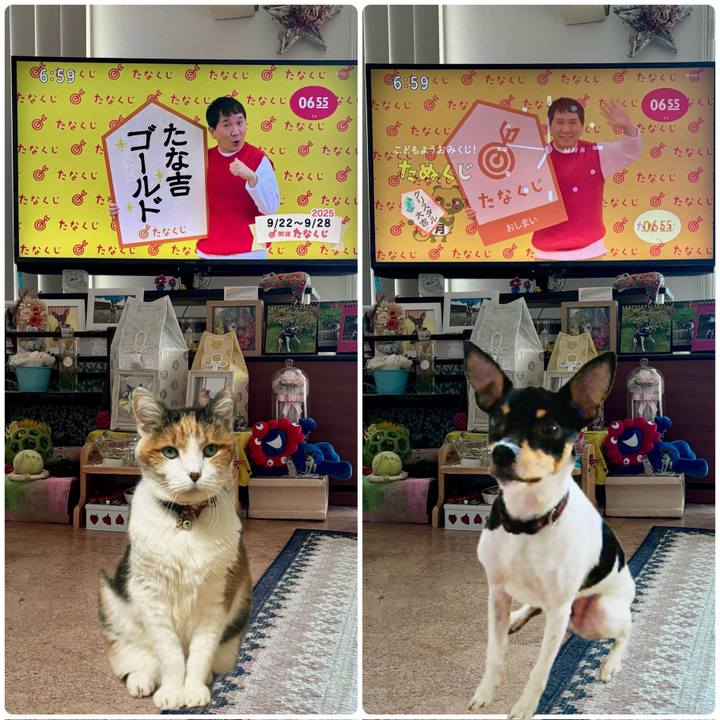 A62daf63 2c92 479e a8e5 d9e5dc86f254 1758492381257