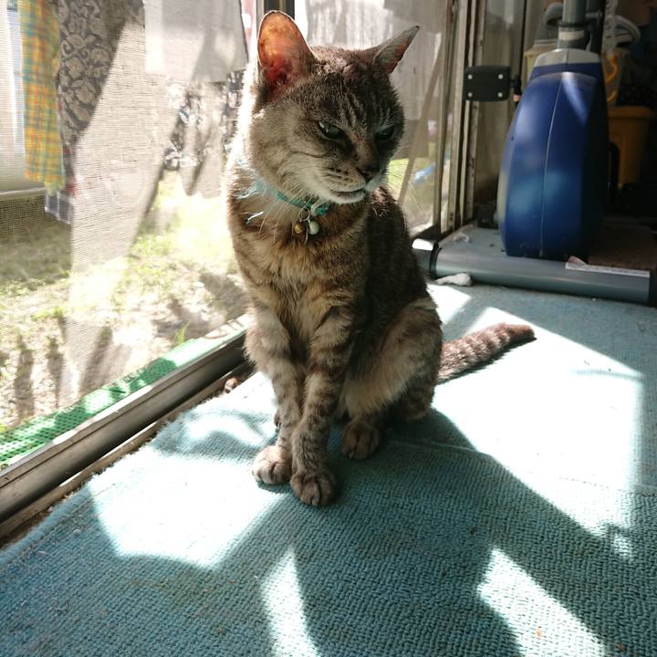 A62ddddd 664e 4bf4 905e dc2c5a987c62 1567832215067