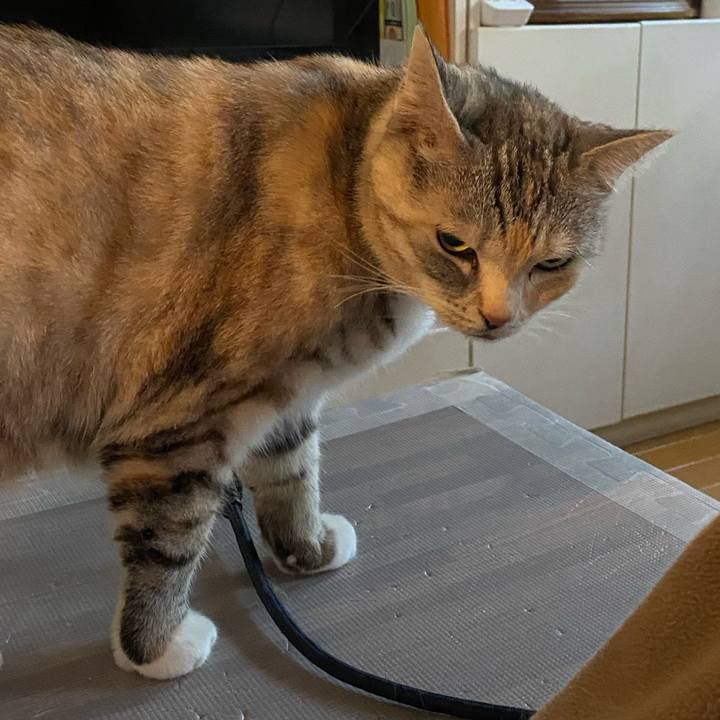 A62e0cde 75e1 42a4 bd40 50196c59d16d 1614466907746