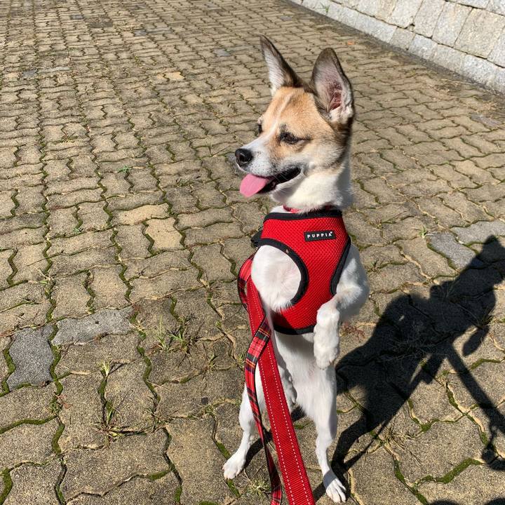 A62e3537 95f8 4c14 9882 7591fc09b41e 1572925423712