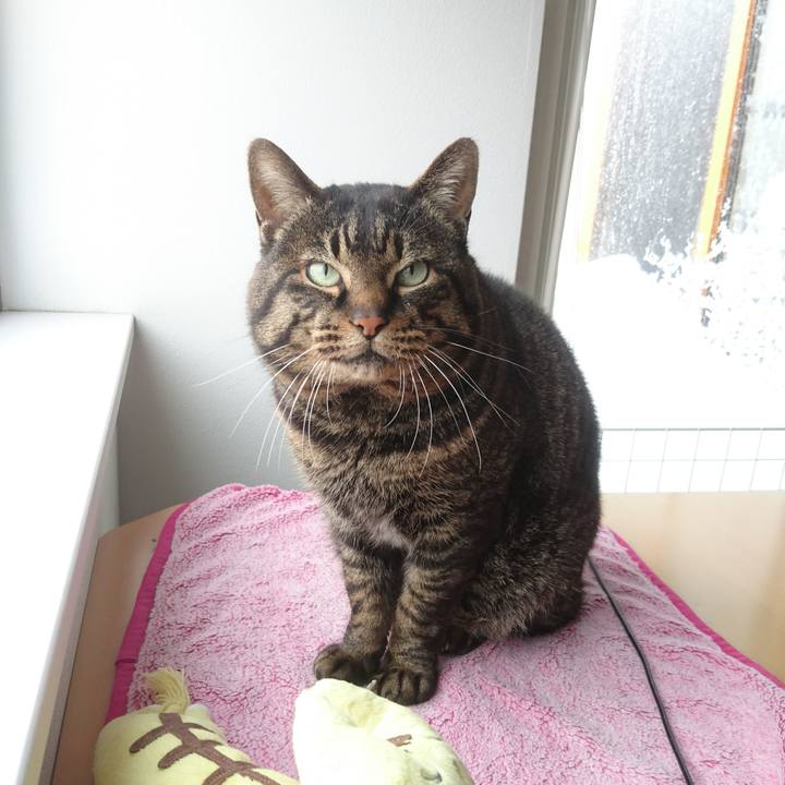 A62e450a ab3d 493f af64 74bbc728b5ad 1519871938860