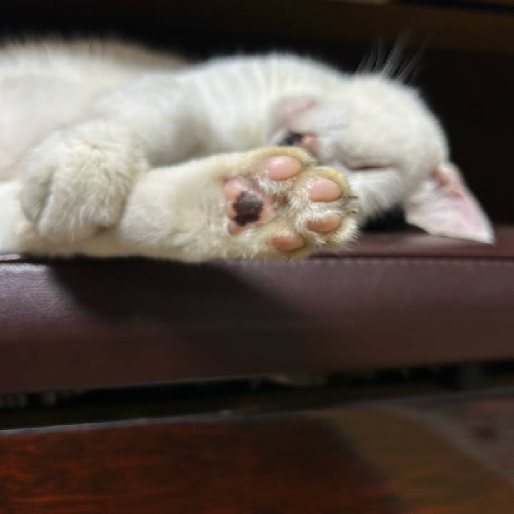 A62e5387 e900 44ab a997 554df3a9d155 1757376348698