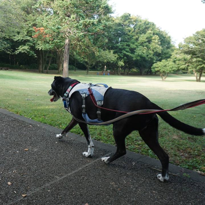 A62e9dc0 dde5 45a9 81d7 9c370c5f7afc 1755909211729